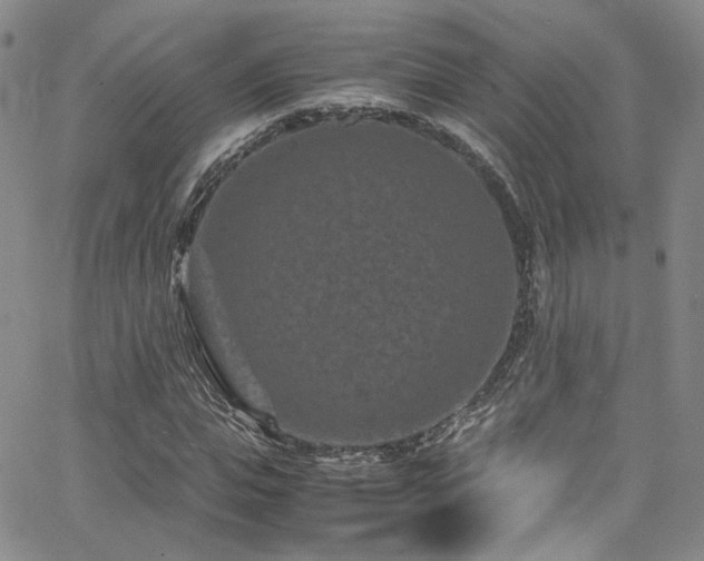 X0000062630823200512211226