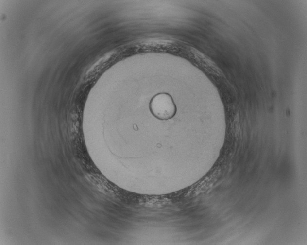 X0000062630824200512211226