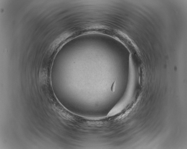 X0000062630825200512211226