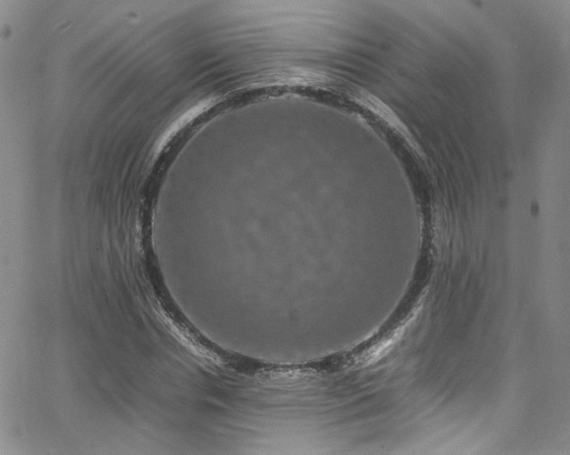 X0000062630826200512211227