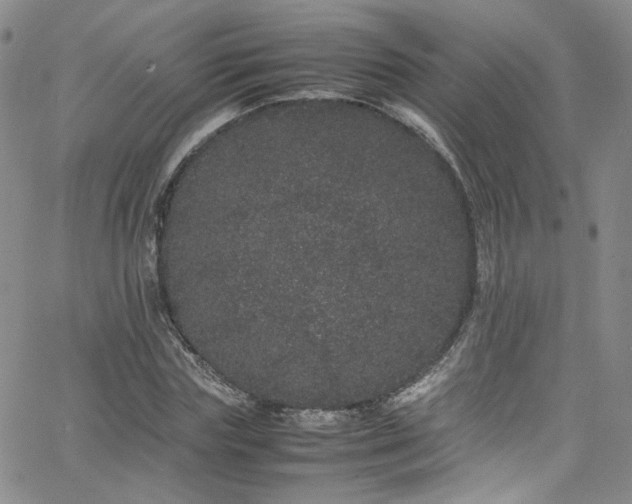 X0000062630827200512211227