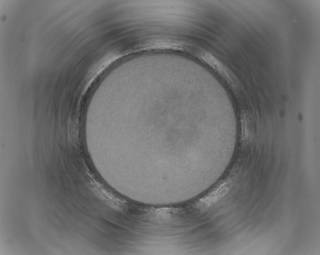 X0000062630828200512211227