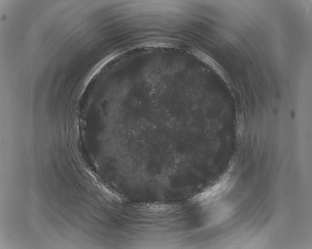 X0000062630829200512211227