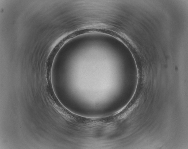 X0000062630830200512211227