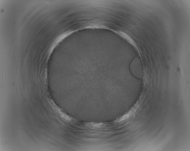 X0000062630831200512211227