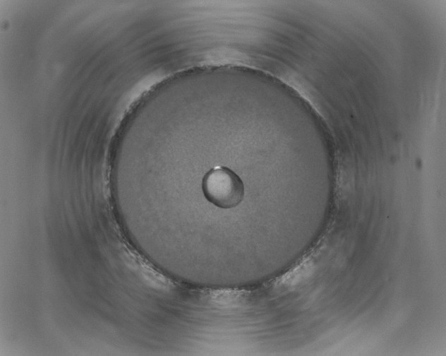 X0000062630832200512211227