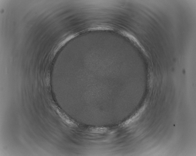 X0000062630833200512211227