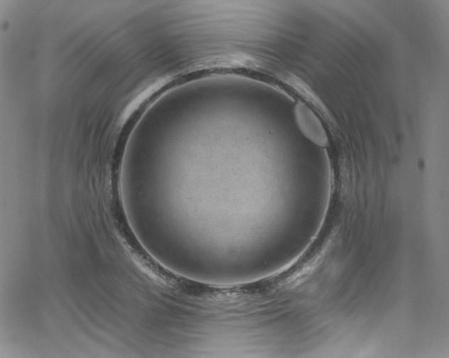 X0000062630834200512211227