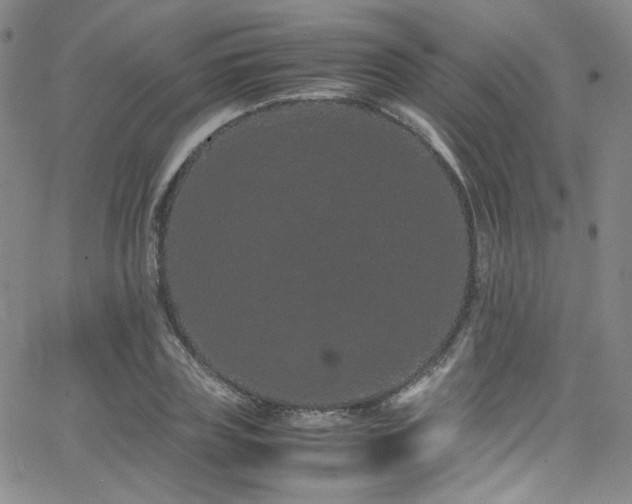 X0000062630835200512211227