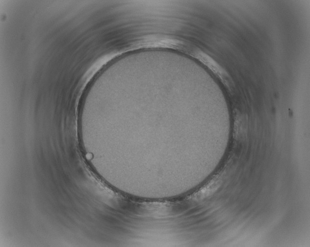 X0000062630836200512211227