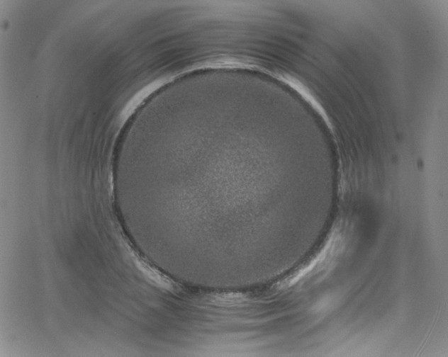 X0000062630837200512211227