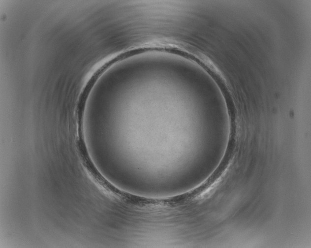 X0000062630838200512211227