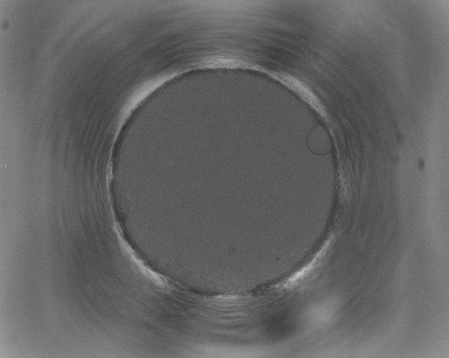 X0000062630839200512211227