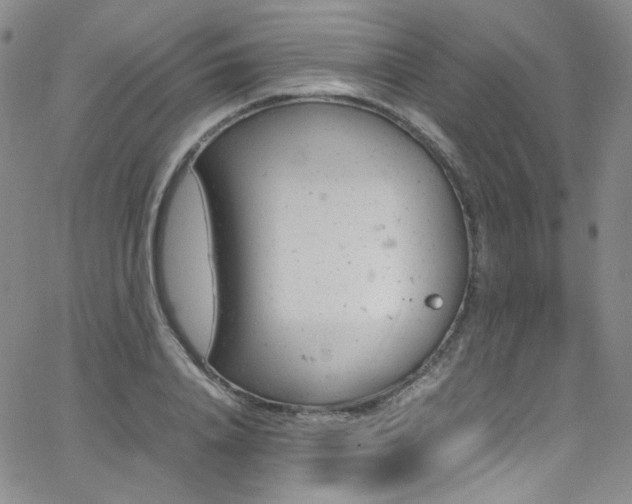 X0000062630840200512211227