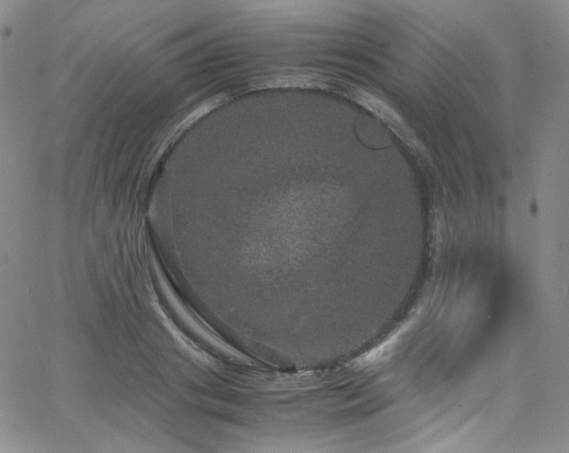 X0000062630841200512211227