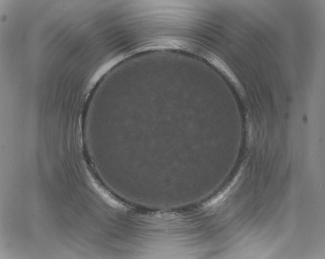 X0000062630842200512211227