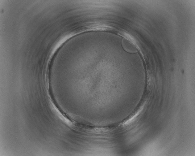 X0000062630843200512211227