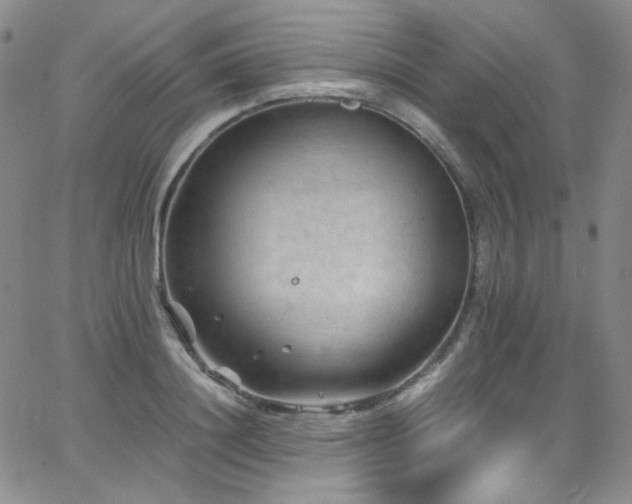 X0000062630844200512211227