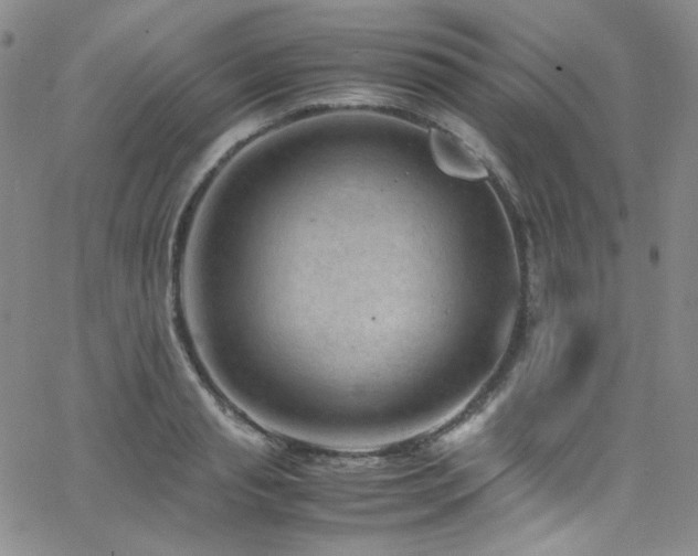 X0000062630845200512211227