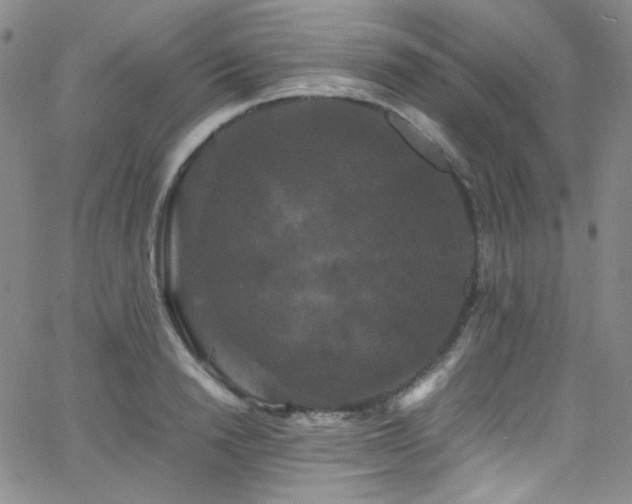 X0000062630846200512211227