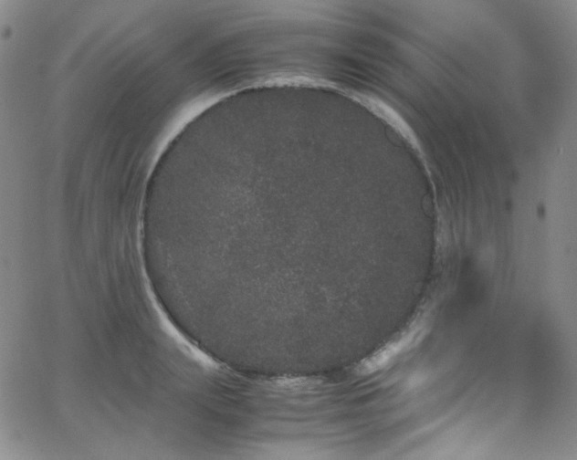 X0000062630847200512211227