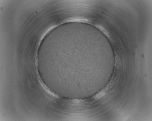 X0000062630848200512211227