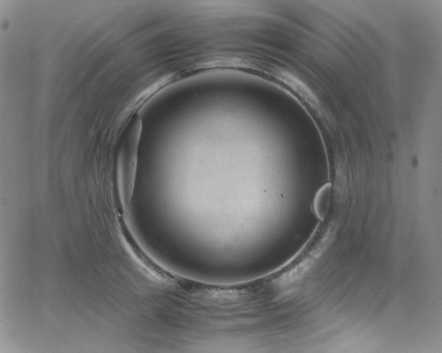 X0000062630849200512211227