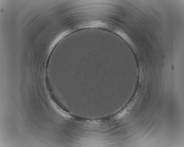 X0000062630850200512211227