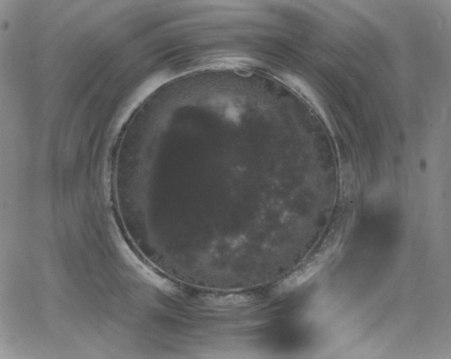 X0000062630851200512211227