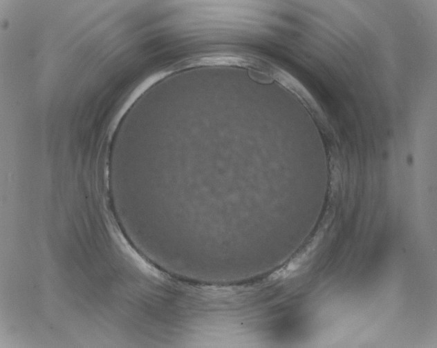 X0000062630852200512211227