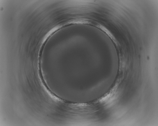 X0000062630853200512211227