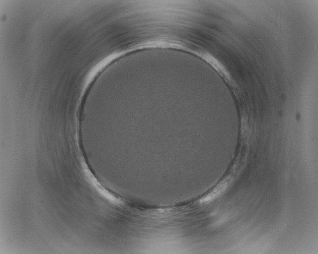 X0000062630854200512211227