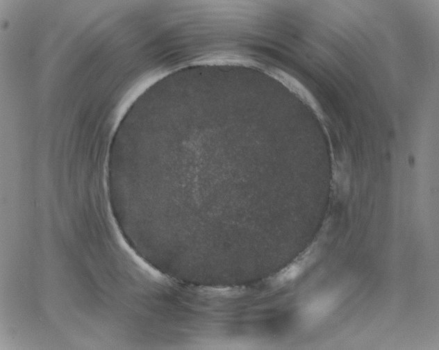 X0000062630855200512211227