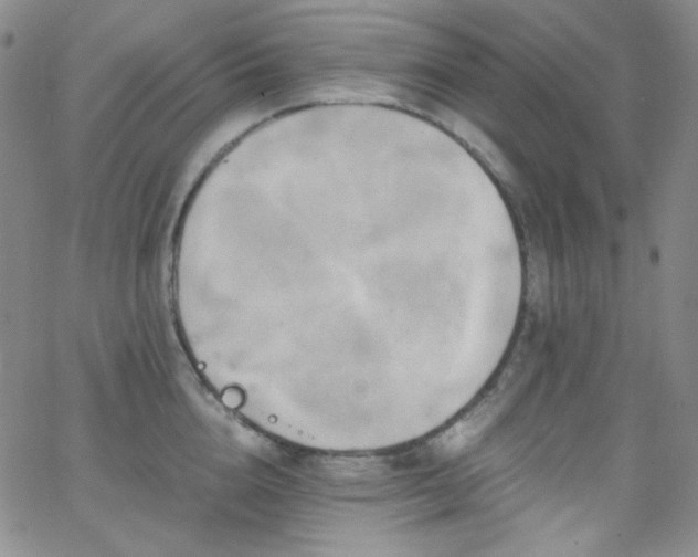 X0000062630856200512211227