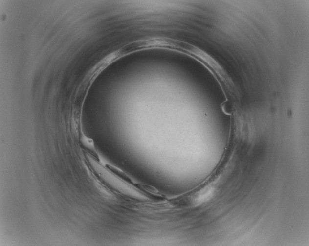 X0000062630857200512211227