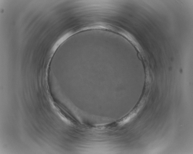 X0000062630858200512211227