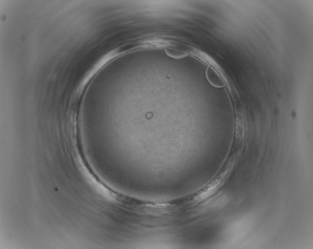 X0000062630859200512211227