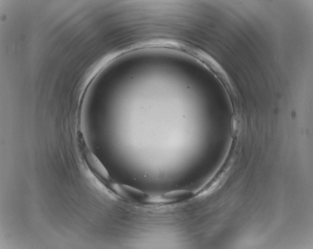 X0000062630860200512211227