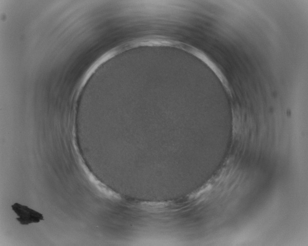 X0000062630861200512211227