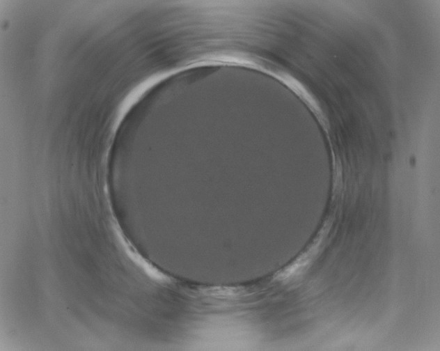 X0000062630862200512211227