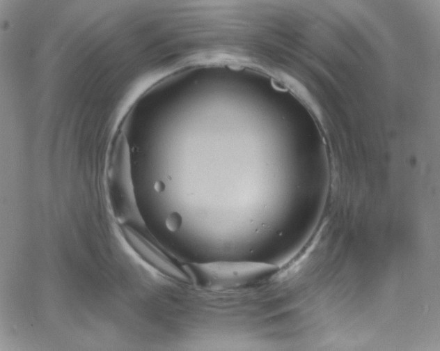 X0000062630863200512211227