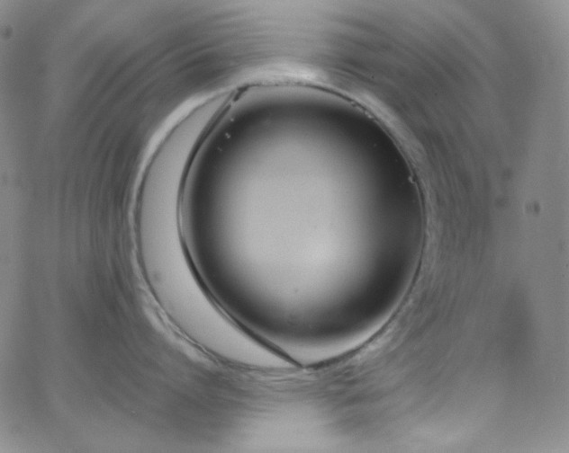 X0000062630864200512211227