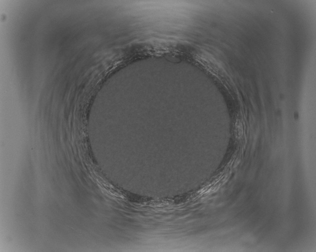 X0000062630865200512211226