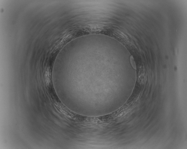 X0000062630866200512211226