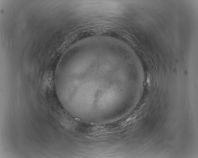 X0000062630867200512211226