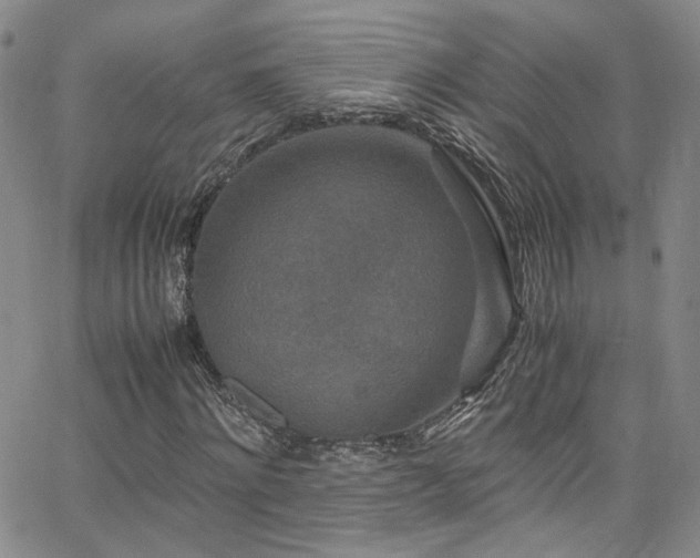 X0000062630868200512211226