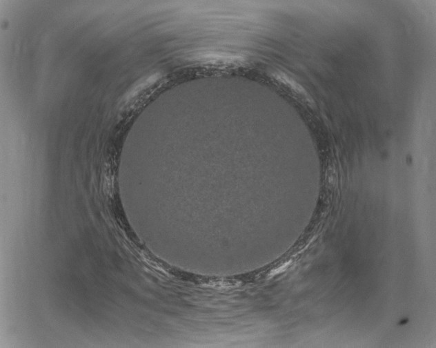 X0000062630869200512211226