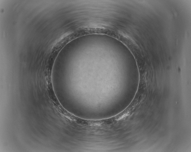 X0000062630870200512211226