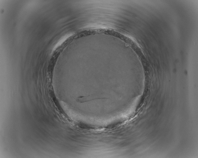 X0000062630871200512211226