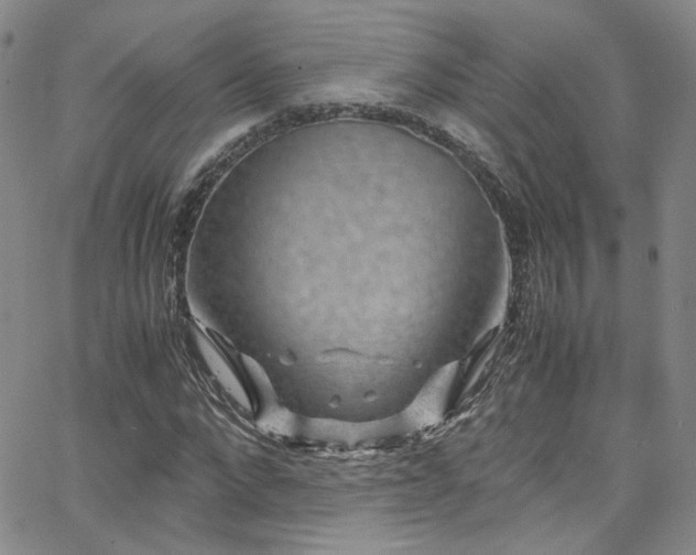 X0000062630872200512211226